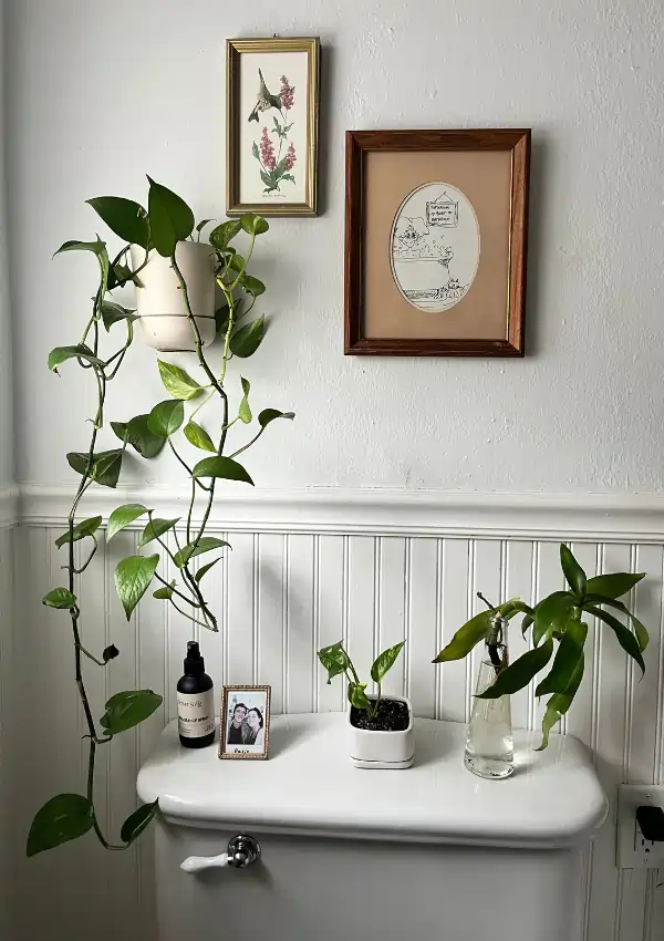 above the toilet decor ideas