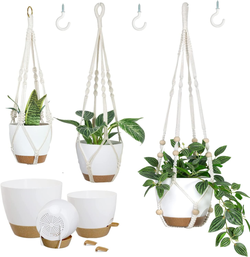 living room plants ideas
