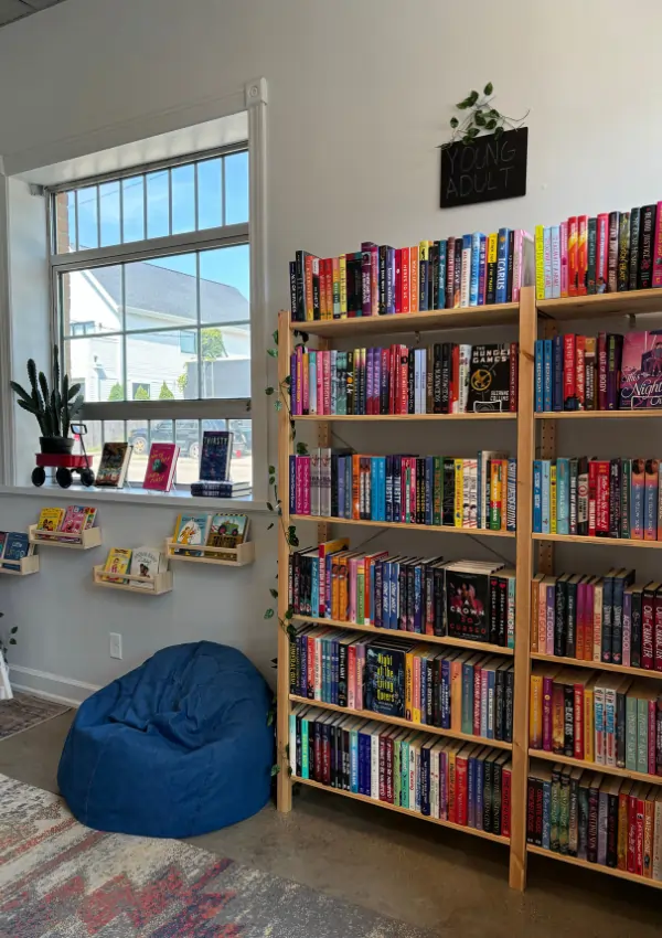 bookshelf decor ideas