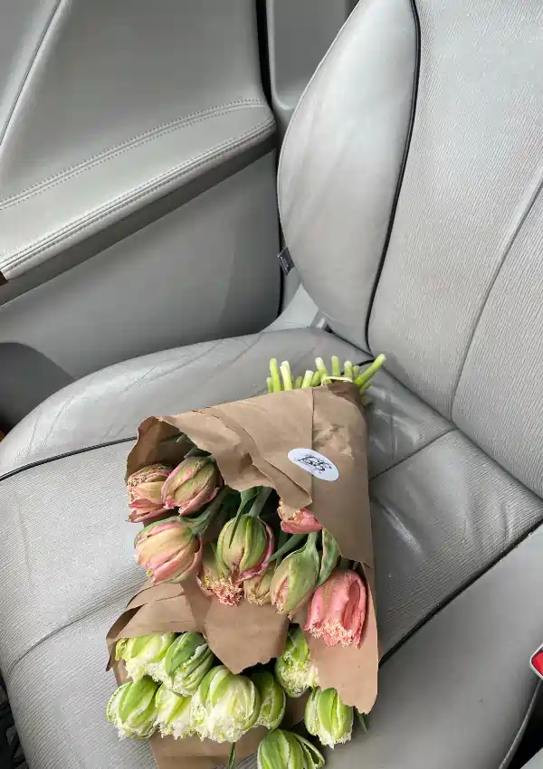 solo birthday ideas