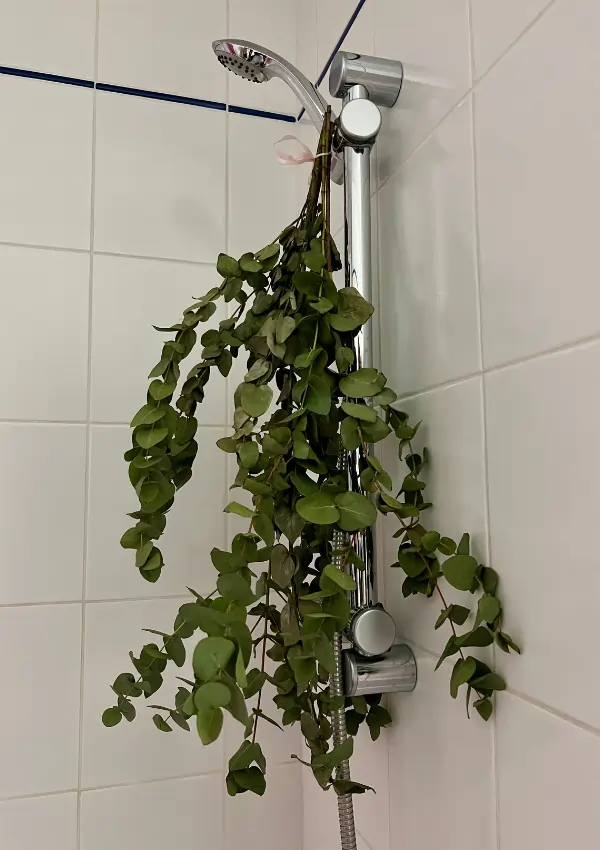 how to make your bathroom smell like a spa