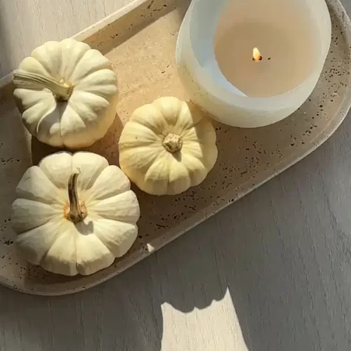 amazon fall decor finds