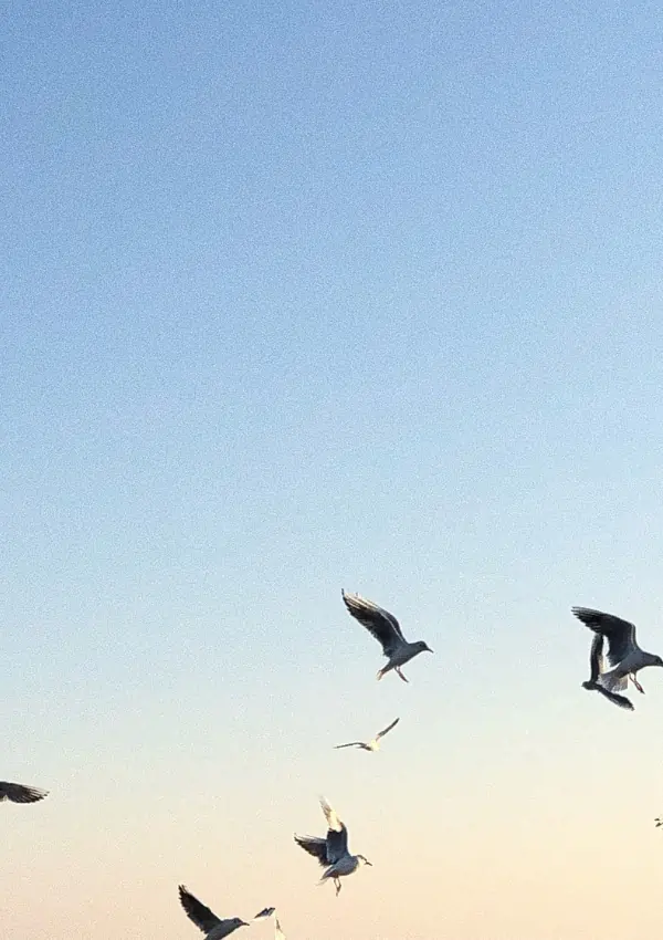 how to build a better relationship with yourself       