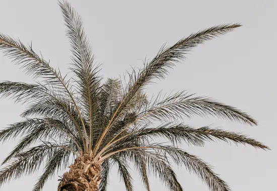 personal growth ideas