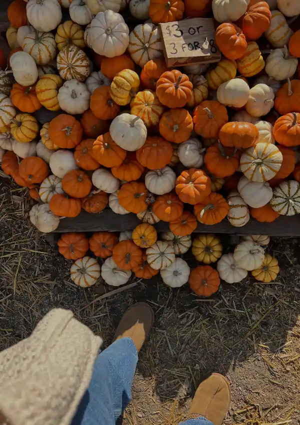 ways to romanticize life this fall              